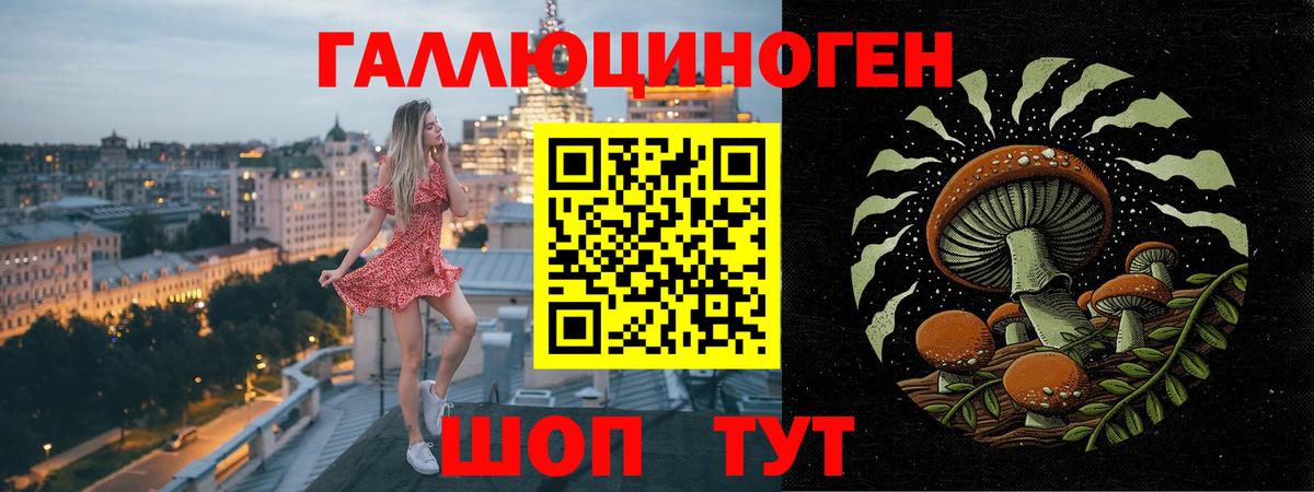 Галлюциногенные грибы мухоморы Горно-Алтайск