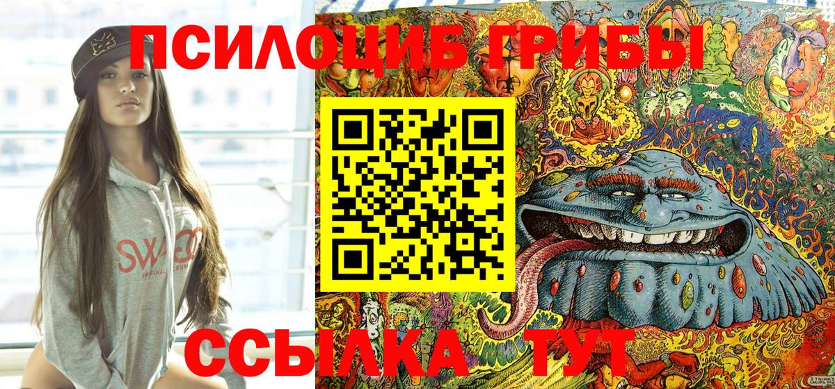 Галлюциногенные грибы Psilocybine cubensis  Вход с VPN  Горно-Алтайск 